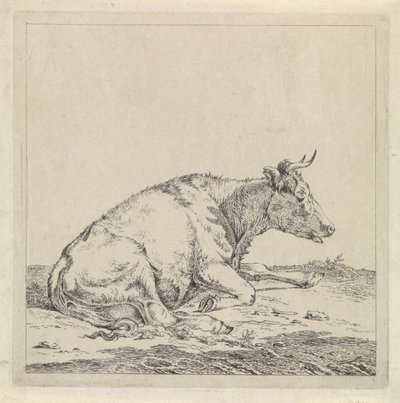 Ležící kráva, vpravo od Pieter Janson