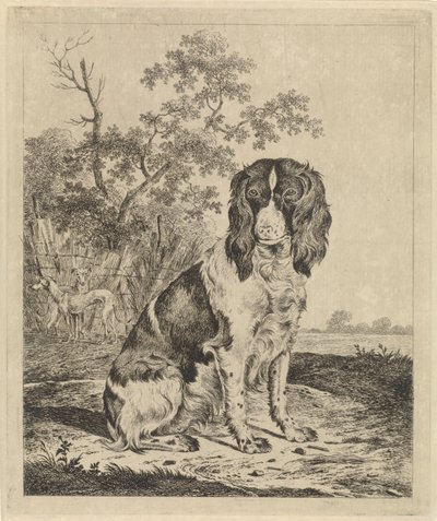 Sedící koroptev pes od Pieter Janson