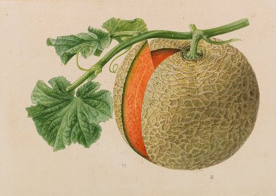Originály publikací o zahradnictví a sadařství, 1878-1881. od Pieter Joseph de Pannemaeker