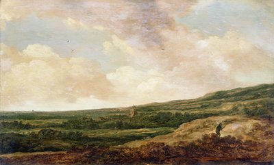 Krajina s myslivcem (panel) od Pieter Molijn