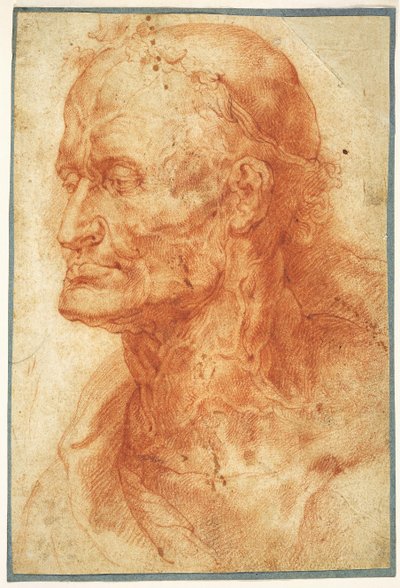 Studie hlavy starého muže, asi 1602. od Pieter Paul Rubens