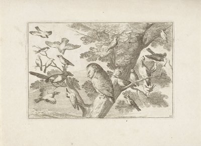 Uil en andere vogels in boom Různí ptáci (název série) Nejdokonalejší figurky různých ptáků (...) (název série) od Pieter Schenk (I) (attributed to)