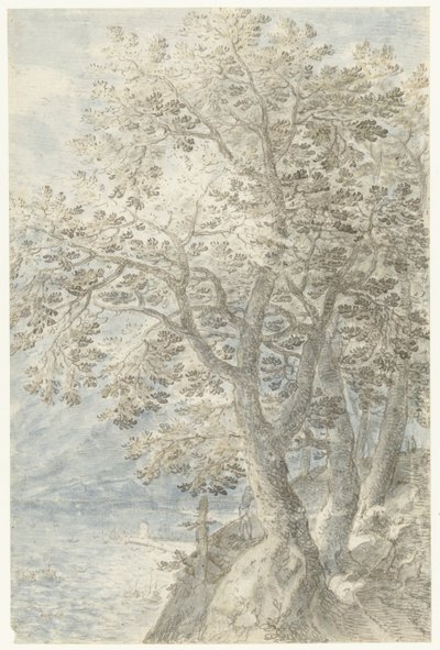 Stromy u strmé skalní stěny od Pieter Stevens (I)