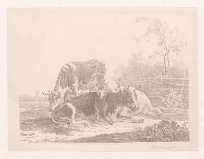 Tři krávy na pastvině u plotu od Pieter de Goeje