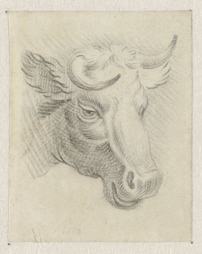 Hlava krávy od Pieter de Goeje