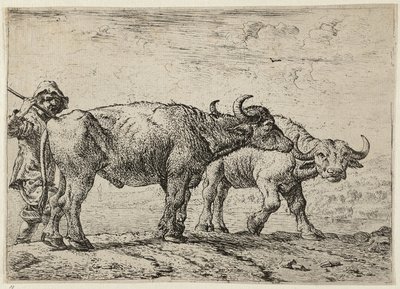 Dva bizoni a pastevec od Pieter van Laer