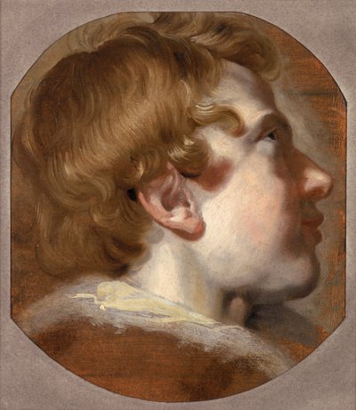 Head of a Young Boy, cca 1620 (olej na papíře) od Pieter van Mol