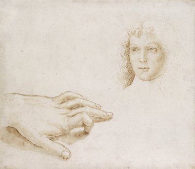 Studie hlavy a ruky (pero a štětec světle hnědým inkoustem přes kovovou jehlu na bílém papíře) od Pietro (circle of) Perugino