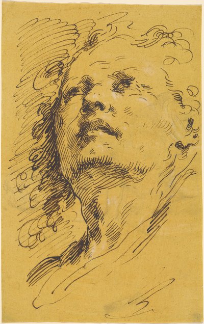 Hlava muže vzhlédl od Pietro Antonio Novelli