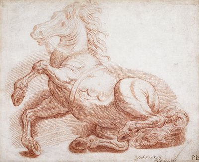 Padlý kůň, od Pietro Dandini