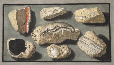 Vzorky tufy nalezené v Herculaneu a jeho okolí, deska XXXXV, z „Campi Phlegraei: Observations on the Volcanoes of the Two Sicilies“, od Sira Williama Hamiltona (1730-1803), publikované v roce 1776 (sl. od Pietro Fabris