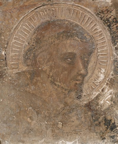Hlava františkána, 1319-47. od Pietro Lorenzetti