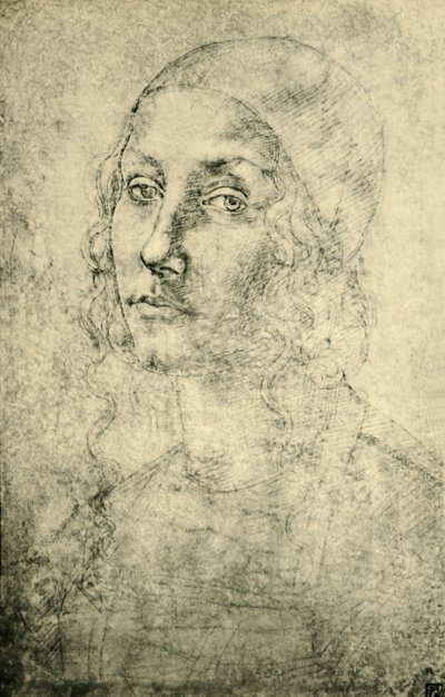 Portrét ženy, konec 15.-začátek 16. století, 1943. od Pietro Perugino