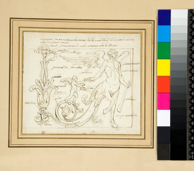 Ornamenty, které rozdělují vítězství Amazonek, jedna z barev a další z jasné temné Evropy) od Pietro Santi Bartoli