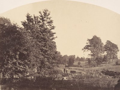 The Woodland Stream, 1856. od Plunket