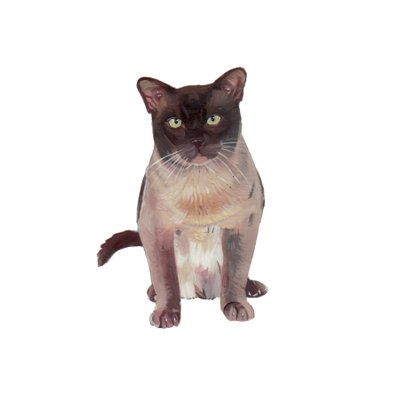 Barmská čokoláda-šampaňské, 2014 (akvarel a kvaš na papíře) od Polly Horner