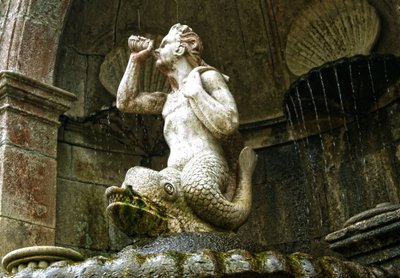 Fontána Triton, Svatyně Panny Marie Léčebné, Lamego, Portugalsko 1738 (kámen) od Portuguese School