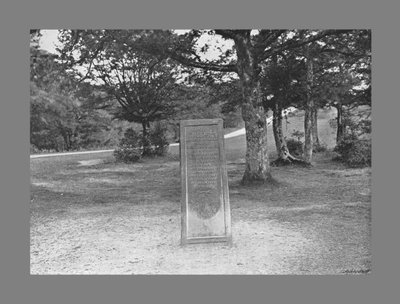 Rufusův kámen, New Forest Hants, c1900 od Poulton and Co