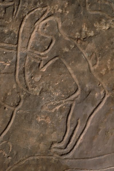 Lidská postava a býčí hlava (skalní řezba) od Prehistoric