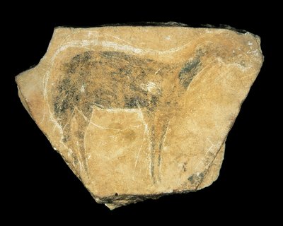 Černá laň, jeskyně Parpallo, Španělsko, svrchní paleolit (malba) od Prehistoric Prehistoric