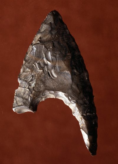 Egyptský starověk: hrot šípu z místa Fayoum (Fayyum nebo Fayum) v Egyptě. Predynastické období. Verone, Museo Civico di Storia Naturale, Itálie od Prehistoric Prehistoric