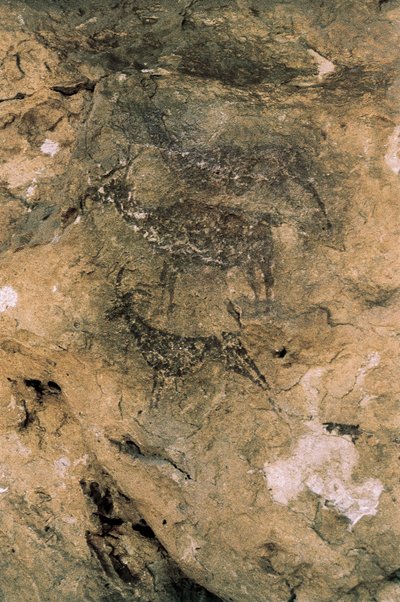 Mesolithic Rock Art: Jelen a kozy (8000-7000 př.nl), Španělsko, Bicorp, jeskyně La Arana (malba) od Prehistoric Prehistoric