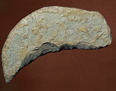 Prehistoire: chopper typ nástroje litické výroby Kjokkenmoddinger, Dánsko. paleolit. Verone, Museo Civico di Storia Naturale, Itálie od Prehistoric Prehistoric