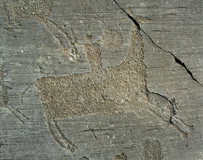Pravěk, civilizace Camunni, skalní umění: hrobová skála zobrazující válečníka na koni se štítem. Období mezi neolitem a dobou bronzovou. Capo di Ponte, Národní park Naquane Rock Carvings, Valcamonica, Val Camonica, Itálie od Prehistoric Prehistoric