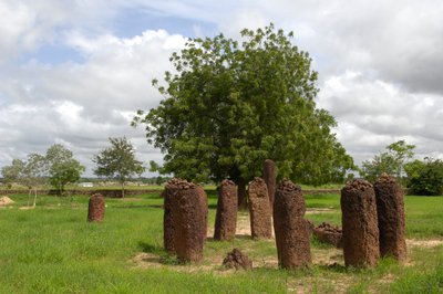 Pravěk: Megalitický kruh kamenů z Wassu, Gambie (foto) od Prehistoric Prehistoric