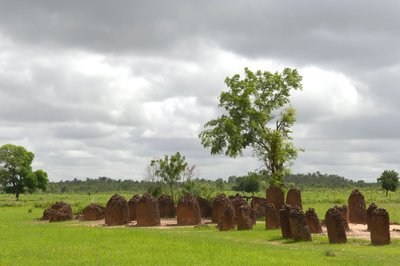 Pravěk: Megalitický kruh kamenů z Wassu, Gambie (foto) od Prehistoric Prehistoric
