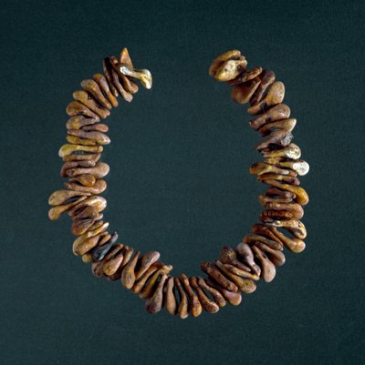 Prehistorie, doba kamenná: náhrdelník z kostí z jeskyně Polesine, Veneto. Řím, Národní muzeum prehistorické etnografie Luigiho Pigoriniho od Prehistoric Prehistoric