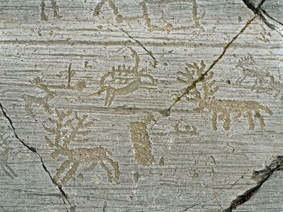 Prehistorie, civilizace Camunni, skalní umění: hrobová skála reprezentace jelena. Období mezi neolitem a dobou bronzovou. Skála. 1. Capo di Ponte, Národní park Naquane Rock Carvings, Valcamonica, Val Camonica, Itálie od Prehistoric Prehistoric