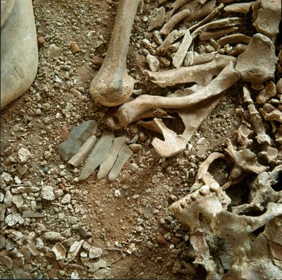 Pravěk: dvojitá hrobka dospělých a dětí. Detailní pohled na pohřební kalhoty z jeskyně Candid Arene (Finale Liguria), Ligurie. Mesolithic, 7000-6000 BC. Genes, museo di archeologia ligure od Prehistoric Prehistoric