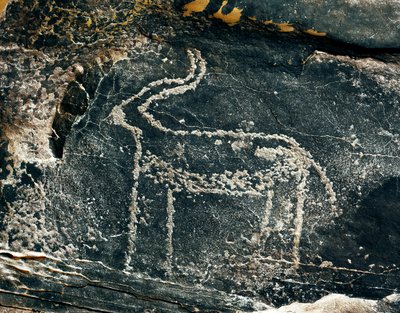 Pravěk, skalní umění: hrobová skála reprezentace antilopy. Doba kamenná 5000-2000 před naším letopočtem. Taghit, Haut plateau du Hoggar (Ahaggar), Alžírsko od Prehistoric Prehistoric