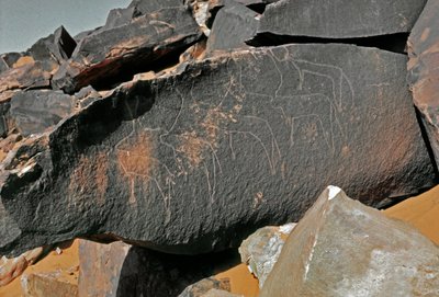 Pravěk, skalní umění: hrobová skála reprezentace dobytka. Styl Tazina. Doba kamenná 5000-2000 před naším letopočtem. Taghit, Haut plateau du Hoggar (Ahaggar), Alžírsko od Prehistoric Prehistoric
