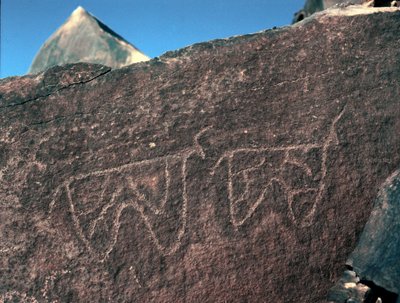 Pravěk, skalní umění: hrobová skála reprezentace dobytka. Styl Tazina. Doba kamenná 5000-2000 před naším letopočtem. Taghit, Haut plateau du Hoggar (Ahaggar), Alžírsko od Prehistoric Prehistoric
