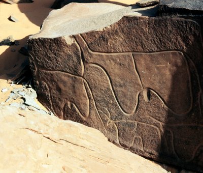 Pravěk, skalní umění: hrobová skála reprezentace dobytka. Styl Tazina. Doba kamenná 5000-2000 před naším letopočtem. Taghit, Haut plateau du Hoggar (Ahaggar), Alžírsko od Prehistoric Prehistoric