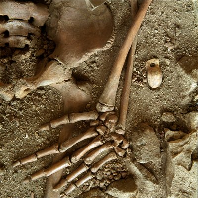 Prehistorie: hrob náctiletých. Detailní pohled na pohřební kalhoty z jeskyně Candid Arene (Finale Ligure), Ligurie. Horní paleolit, 24 000 před naším letopočtem. Genes, museo di archeologia ligure od Prehistoric Prehistoric