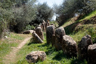 Archeologické naleziště Cromlech M Zora v Sidi El Yamani (Maroko). Neolitická mohyla (2000 př. n. l.), obklopená 167 monolity. od Prehistoric Prehistoric