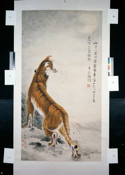 Tygr od Qifeng Gao