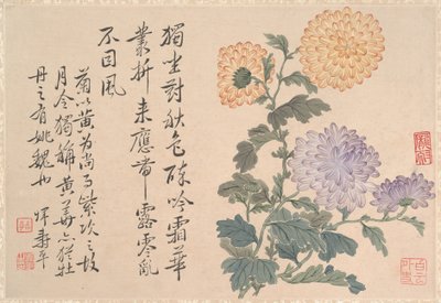 Chryzantémy (albový list; tuš a barva na papíře) od Qing Dynasty Chinese School