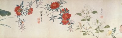 Květiny, Handscroll (inkoust a barva na papíře) od Qing Dynasty Chinese School