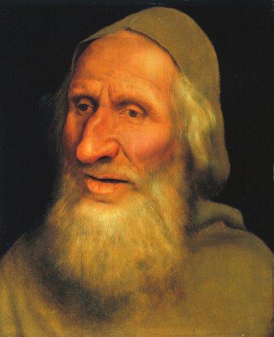 Hlava starého muže, cca 1525 (olej na panelu) od Quentin Massys or Metsys