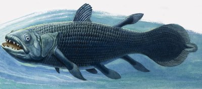 Coelacanth od R.B. Davis