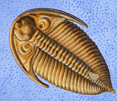Fossil od R.B. Davis