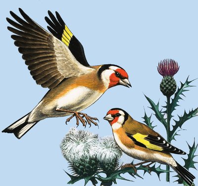 Venkov v září, ilustrace z knihy 