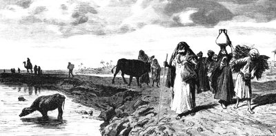 Chaussee v deltě, v době povodně, 1880 od R. Brandamour