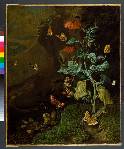 Zátiší s květinami, motýly a ještěrkou v údolí, před rokem 1750 od Rachel Ruysch