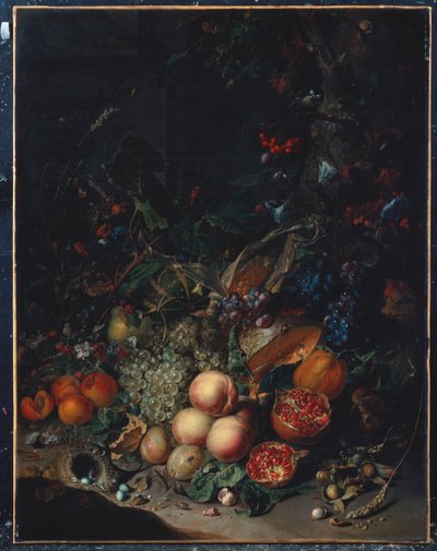 Broskve, hrozny, granátová jablka, melouny, kukuřičný klas, meruňky, švestky, hrušky, žaludy, 1718 od Rachel Ruysch