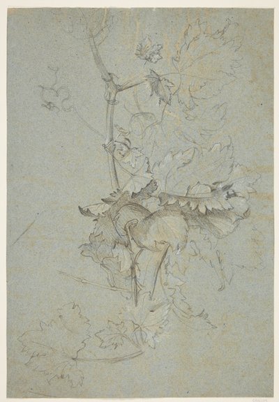 Studie rostlin od Rachel Ruysch